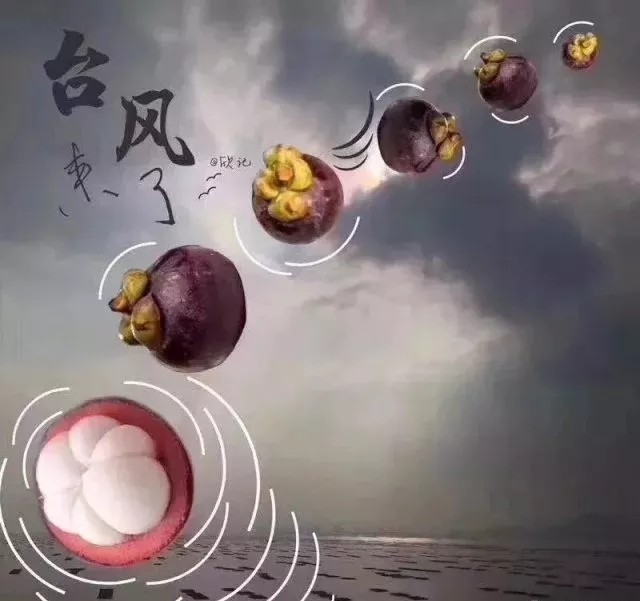 臺風無情人有情，應對臺風“山竹”，我們團結一心。