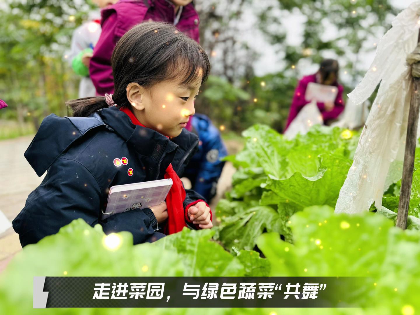 美好學校|留校時光，走出教室，與綠色蔬菜共舞